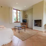 Les Eucalyptus *