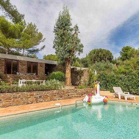 Les Eucalyptus * Bormes-les-Mimosas