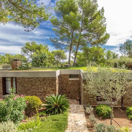 Les Eucalyptus Bormes-les-Mimosas